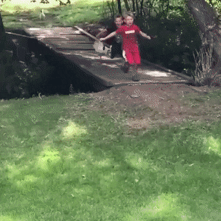 Bewegter Picturedump 495