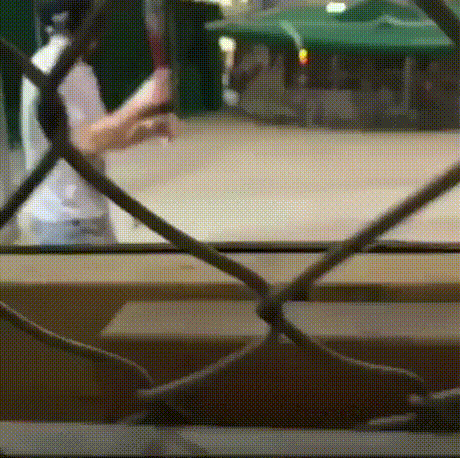 Bewegter Picturedump 495