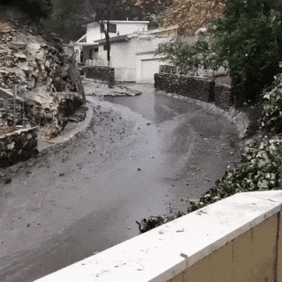 Bewegter Picturedump 495