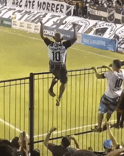 Bewegter Picturedump 495