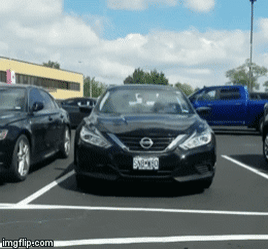 Bewegter Picturedump 495