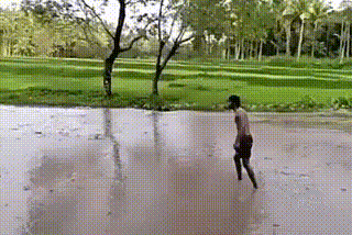 Bewegter Picturedump 495