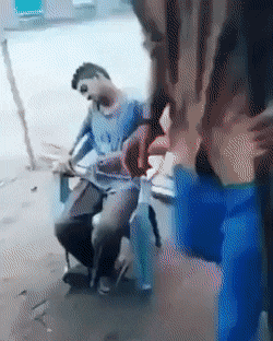 Bewegter Picturedump 495