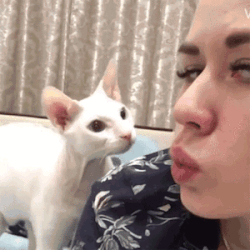 Bewegter Picturedump 495