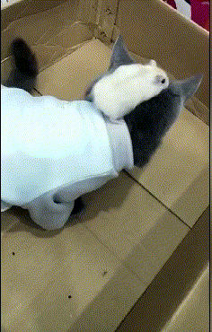 Bewegter Picturedump 495