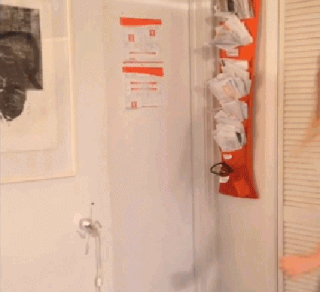 Bewegter Picturedump 495