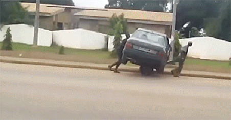 Bewegter Picturedump 495