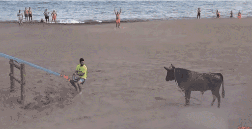 Bewegter Picturedump 343