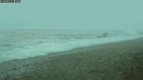 Bewegter Picturedump 343