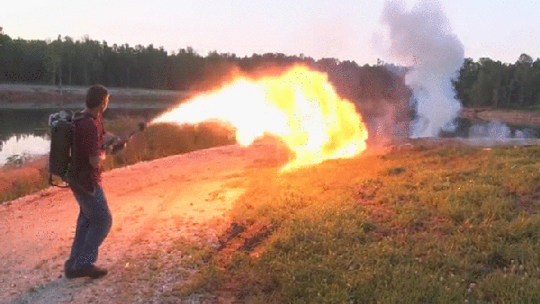 Bewegter Picturedump 295