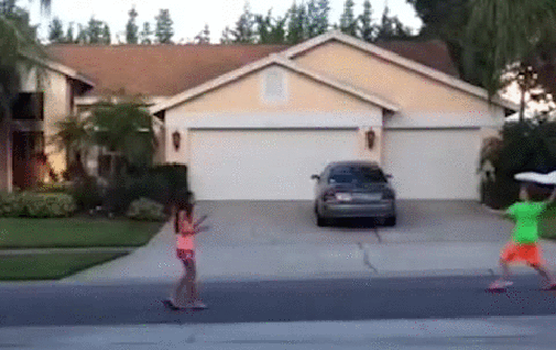 Bewegter Picturedump 295