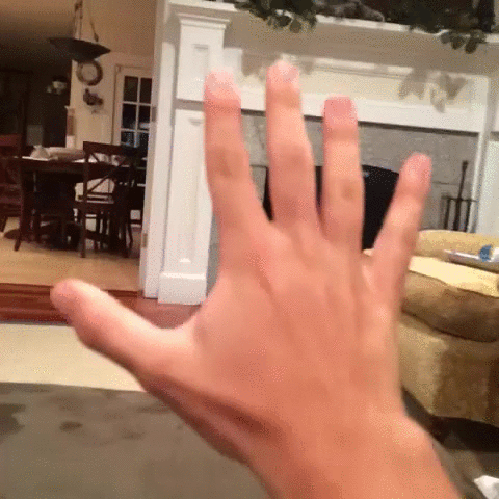 Bewegter Picturedump 295