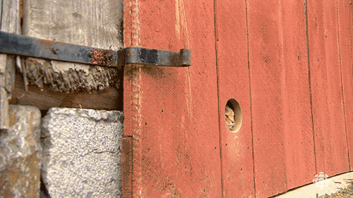 Bewegter Picturedump 295