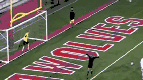 Bewegter Picturedump 295