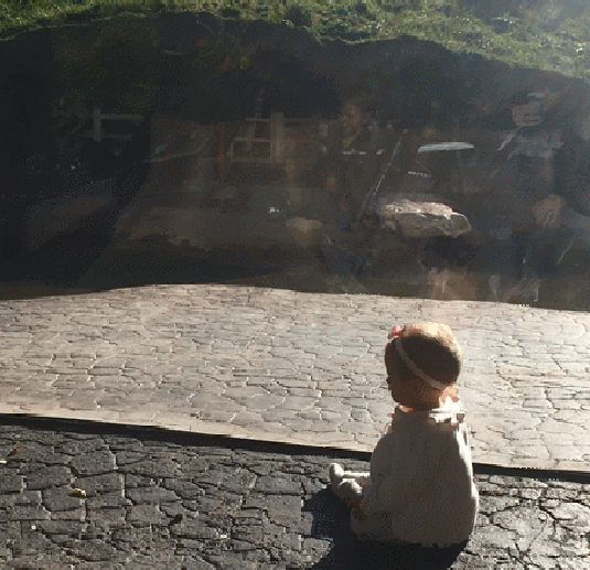 Bewegter Picturedump 295