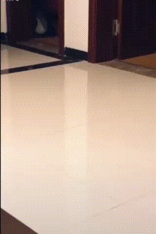 Bewegter Picturedump 456