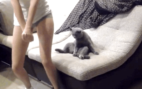 Bewegter Picturedump 456