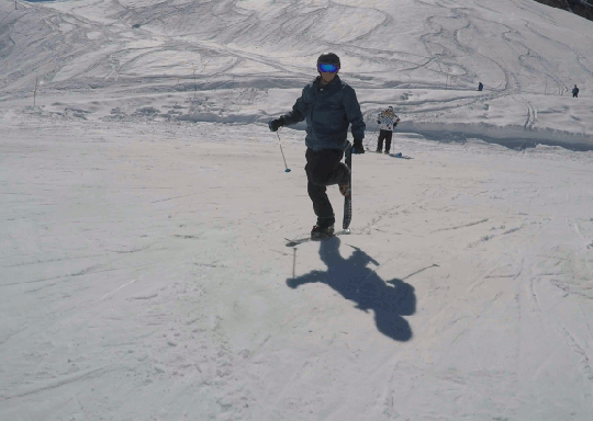 Bewegter Picturedump 456