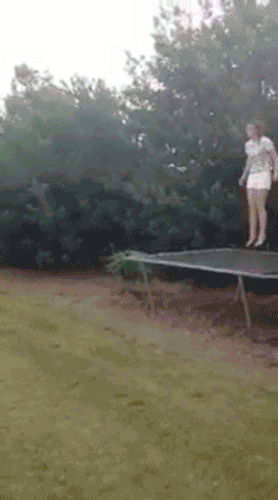 Bewegter Picturedump 369