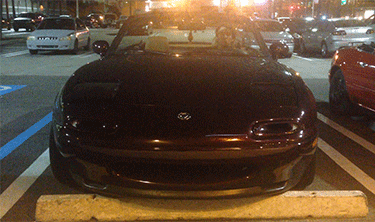 Bewegter Picturedump 369