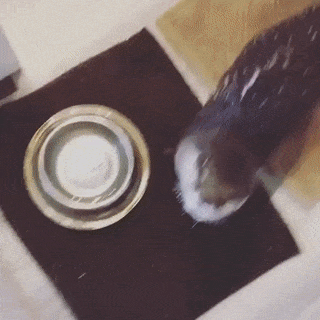 Bewegter Picturedump 369