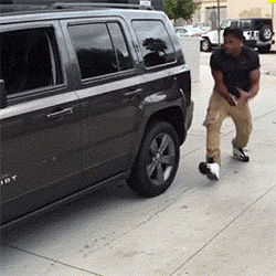 Bewegter Picturedump 369