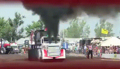 Bewegter Picturedump 369