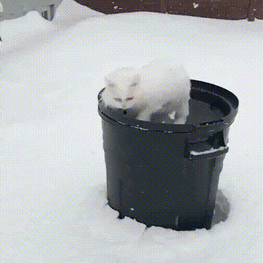 Bewegter Picturedump 369