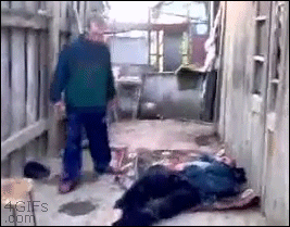 Bewegter Picturedump 269