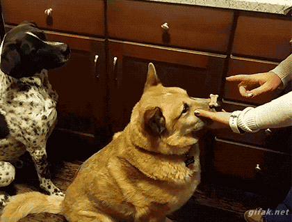 Bewegter Picturedump 269