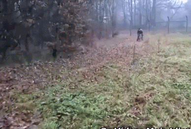 Bewegter Picturedump 226