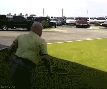 Bewegter Picturedump 226