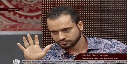 Bewegter Picturedump 330