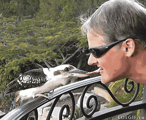 Bewegter Picturedump 282