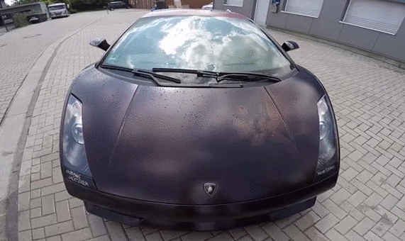 Bewegter Picturedump 282