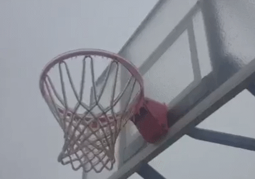 Bewegter Picturedump 282