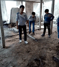 Bewegter Picturedump 282