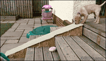 Bewegter Picturedump 282