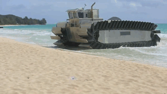 Bewegter Picturedump 230