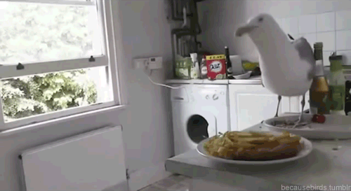 Bewegter Picturedump 230