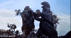 Bewegter Picturedump 230