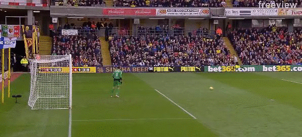 Bewegter Picturedump 230