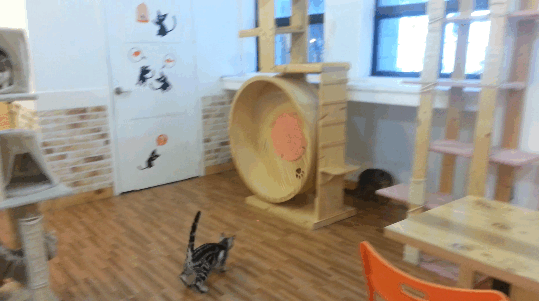 Bewegter Picturedump 265