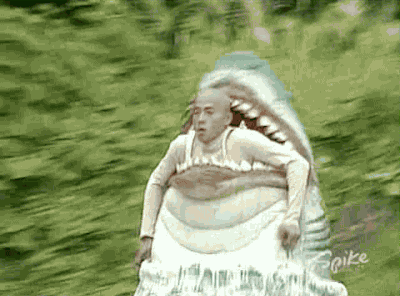 Bewegter Picturedump 265