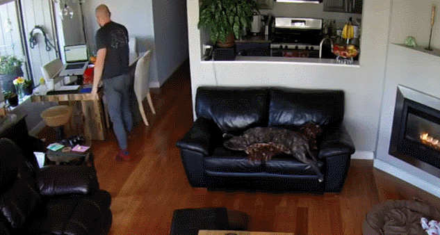 Bewegter Picturedump 265