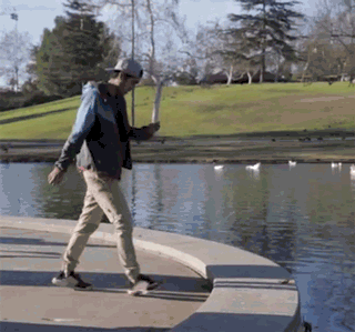 Bewegter Picturedump 265