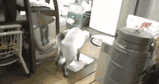 Bewegter Picturedump 278