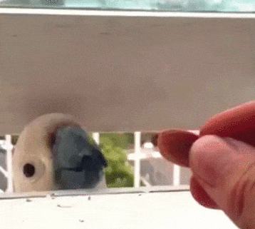 Bewegter Picturedump 278