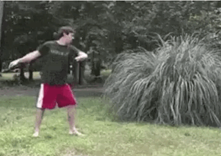 Bewegter Picturedump 491