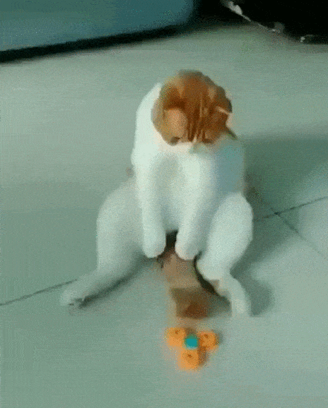 Bewegter Picturedump 491